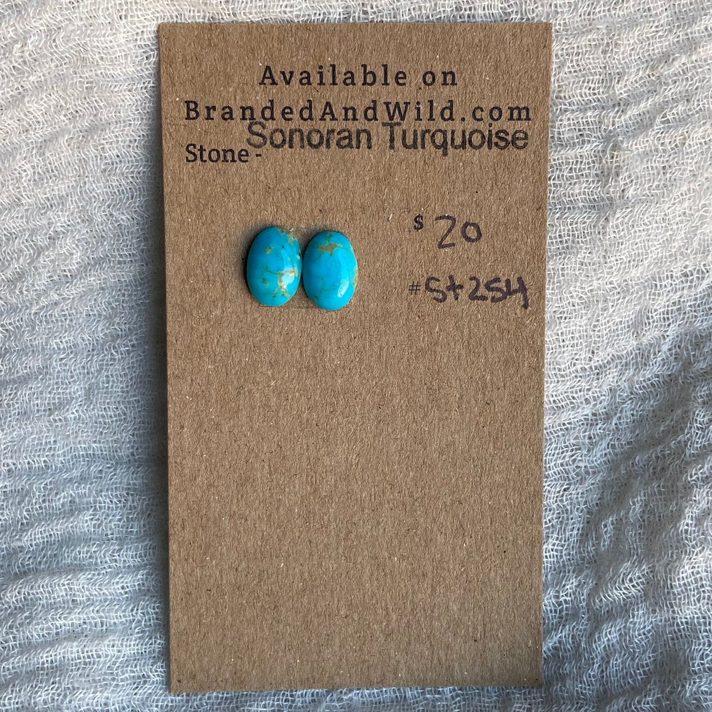 Sonoran Turquoise Cabochon - ST254