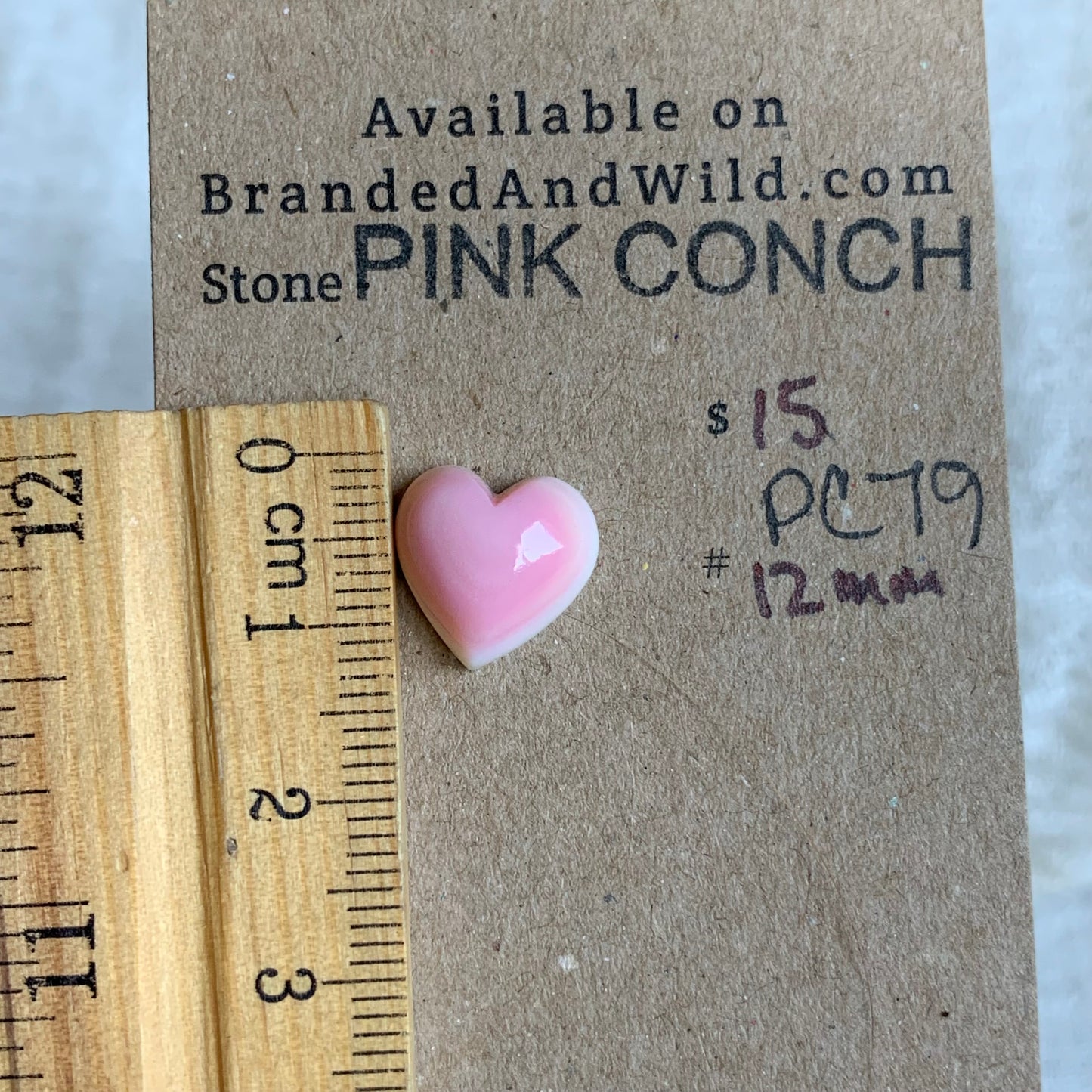 Pink Conch Cabochon - PC79