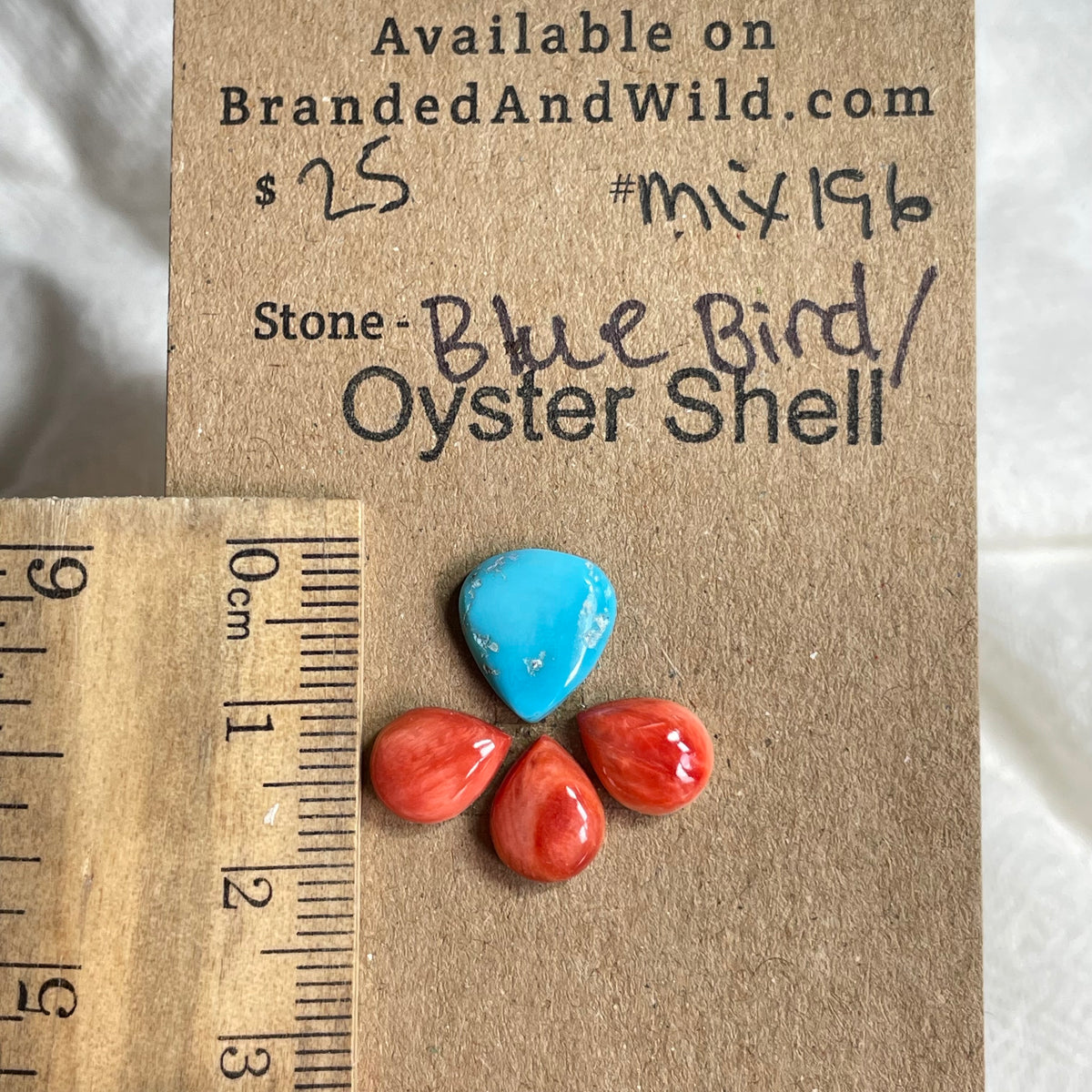 Oyster Shell / Blue Bird Cabochon - Mix196 81DCC166-2368-4111-B012-186061B578C0 Brandedandwild.com