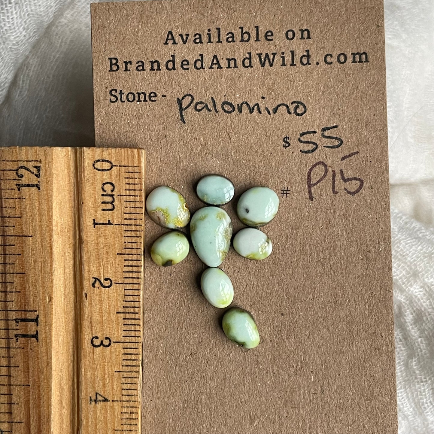 Palomino Cabochon - P15 81EBA3A0-655B-4254-9725-635AAA003581 Brandedandwild.com