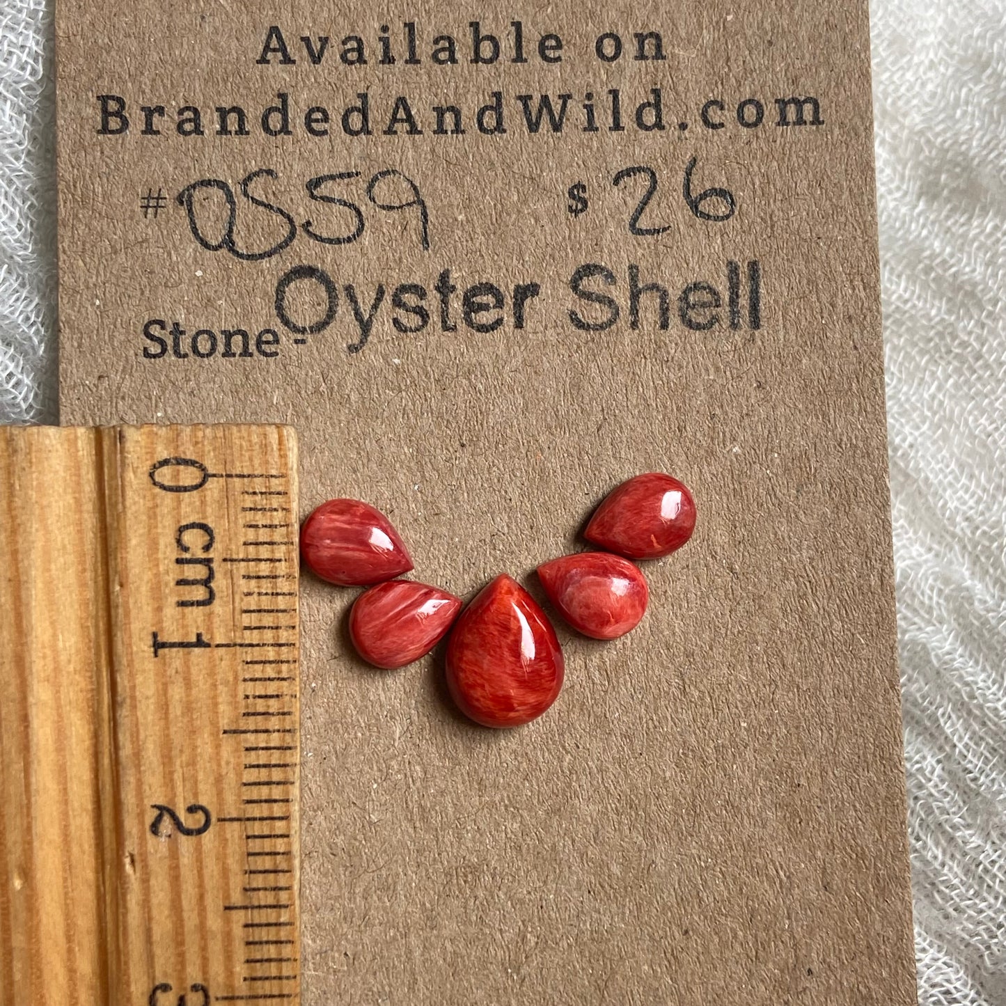 Oyster Shell Cabochon - OS59