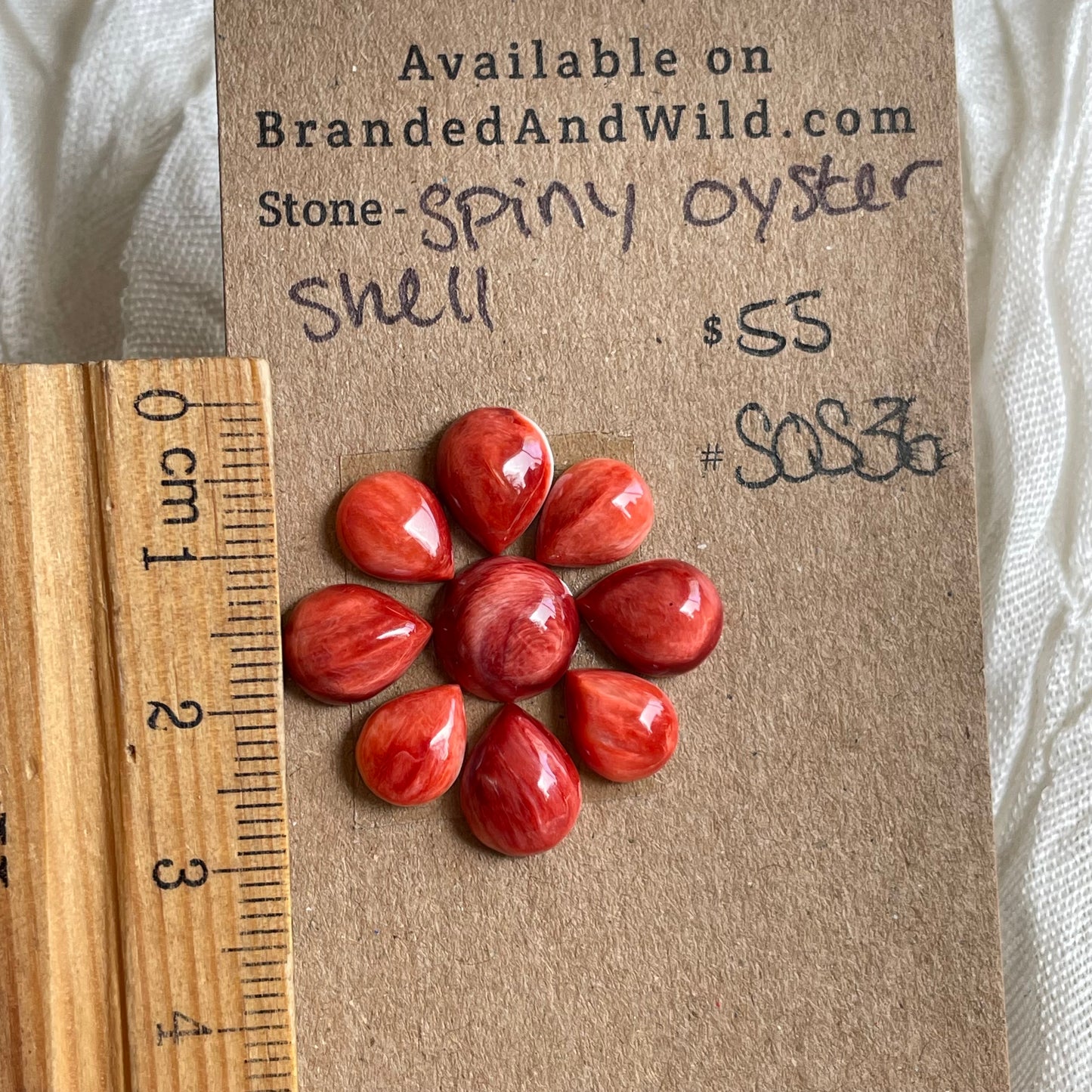 Spiny Oyster Shell Cabochon - SOS36 82239370-E0A6-430F-93C1-46AE282C0E9F Brandedandwild.com