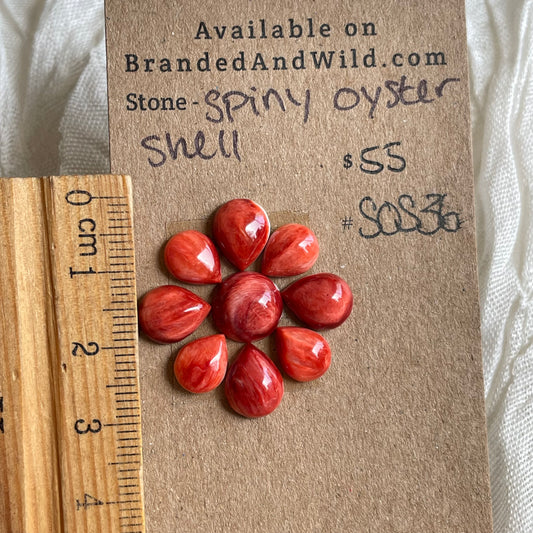 Spiny Oyster Shell Cabochon - SOS36 82239370-E0A6-430F-93C1-46AE282C0E9F Brandedandwild.com