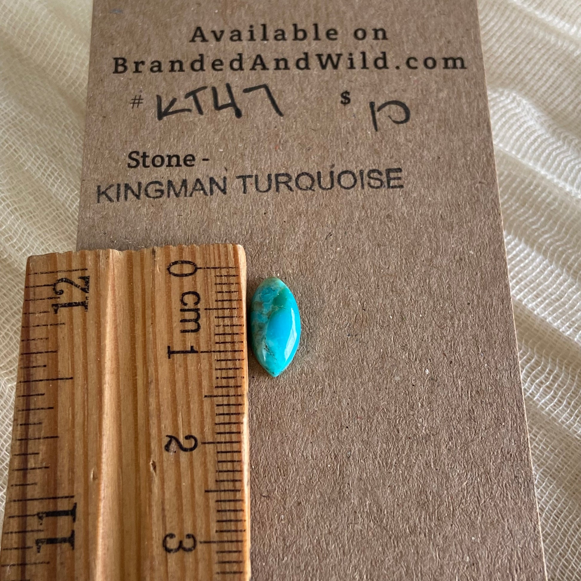 Kingman Turquoise Cabochon - KT47 825EF0EF-4658-4EC0-8B4D-E0A27DC964BB Brandedandwild.com