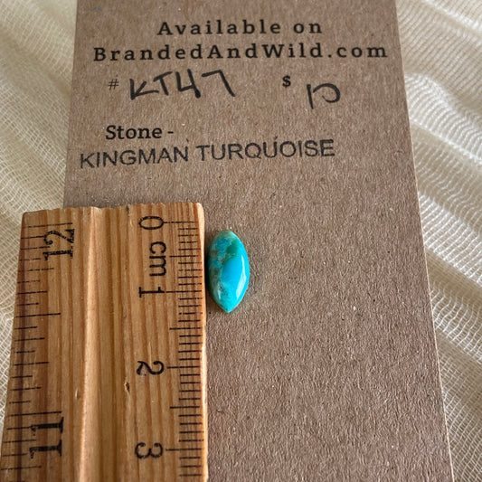 Kingman Turquoise Cabochon - KT47 825EF0EF-4658-4EC0-8B4D-E0A27DC964BB Brandedandwild.com