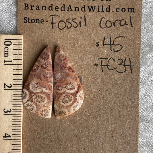 Fossil Coral Cabochon - FC34