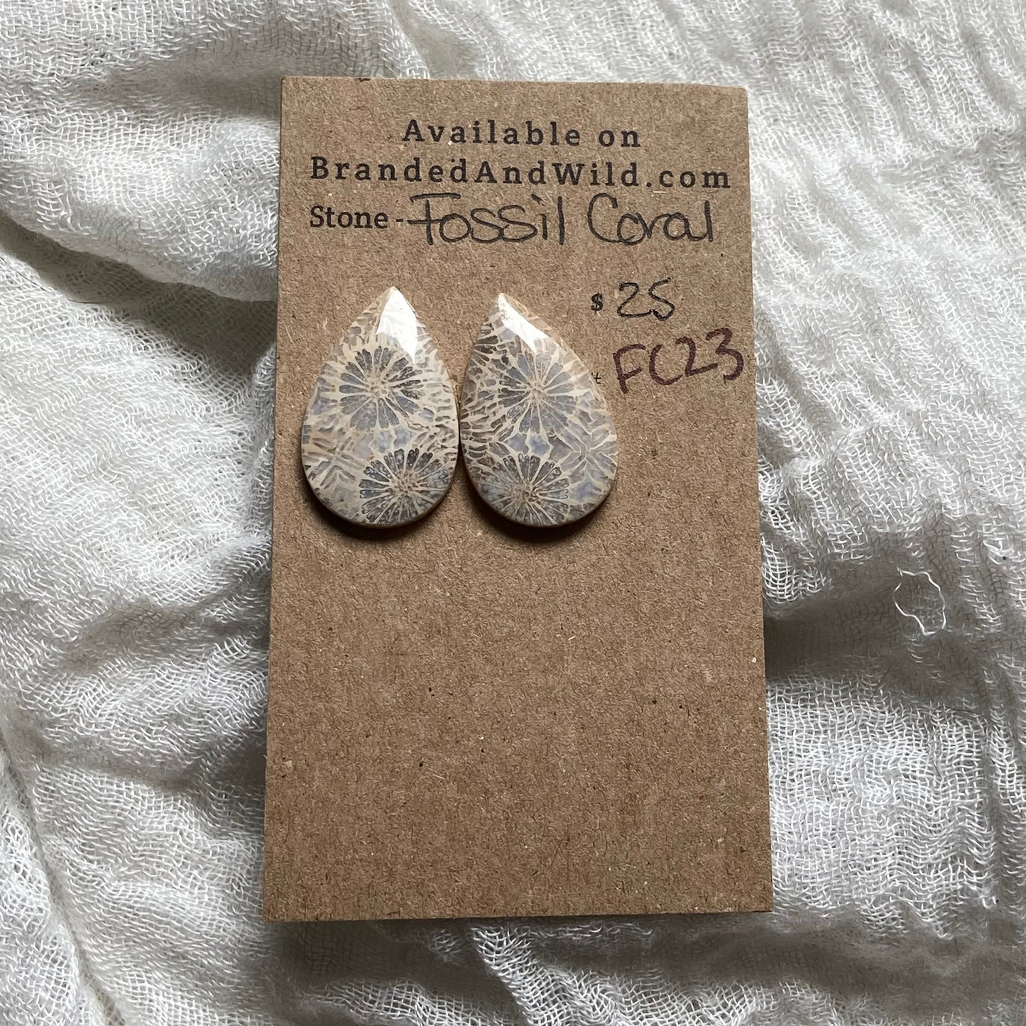 Fossil Coral Cabochon - FC23