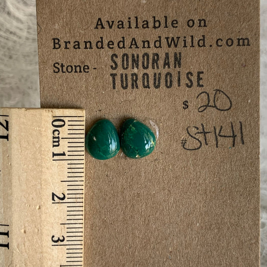 Sonoran Turquoise Cabochon - ST141