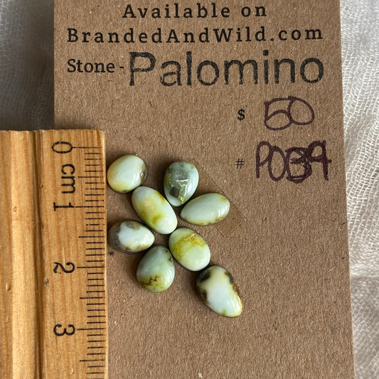 Palomino Cabochon - P039