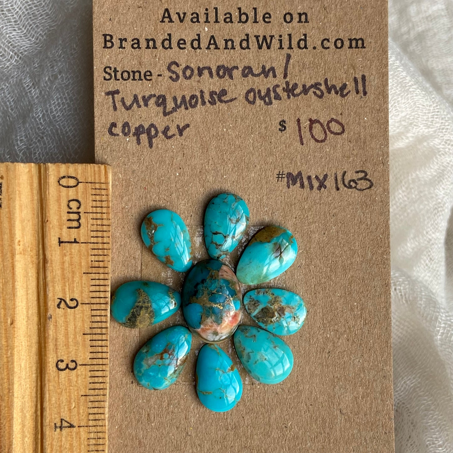 Sonoran /  Oyster Shell Cabochon - MIX163