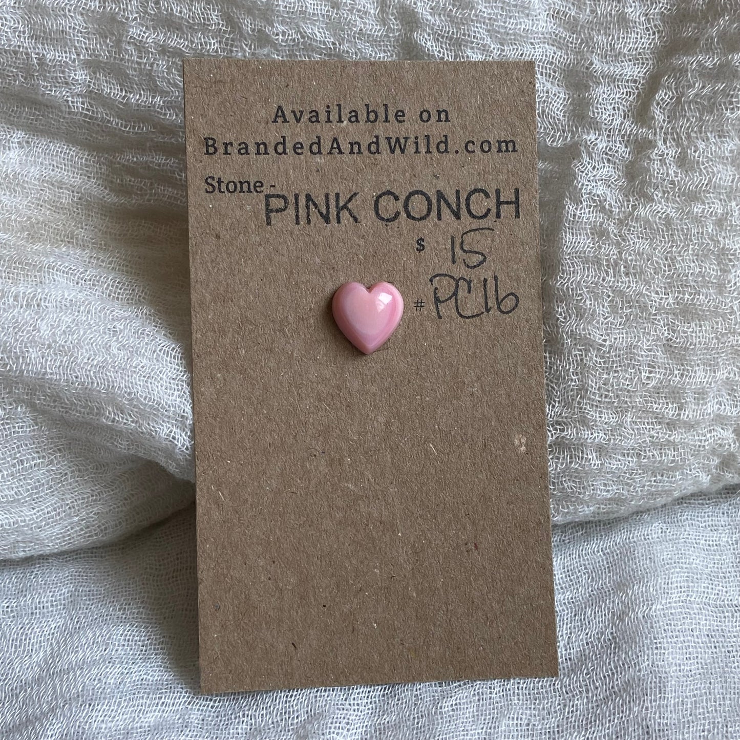 Pink Conch Cabochon - PC16