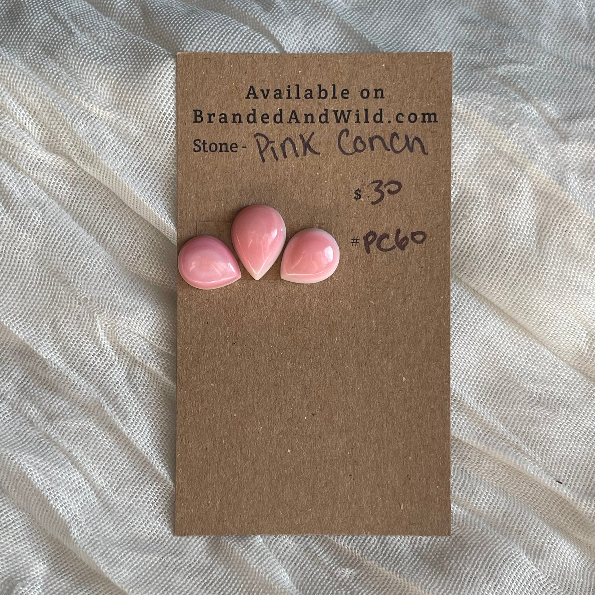 Pink Conch Cabochon - PC60 832F0038-A00E-41BA-B3FA-1FA05D6E966B Brandedandwild.com