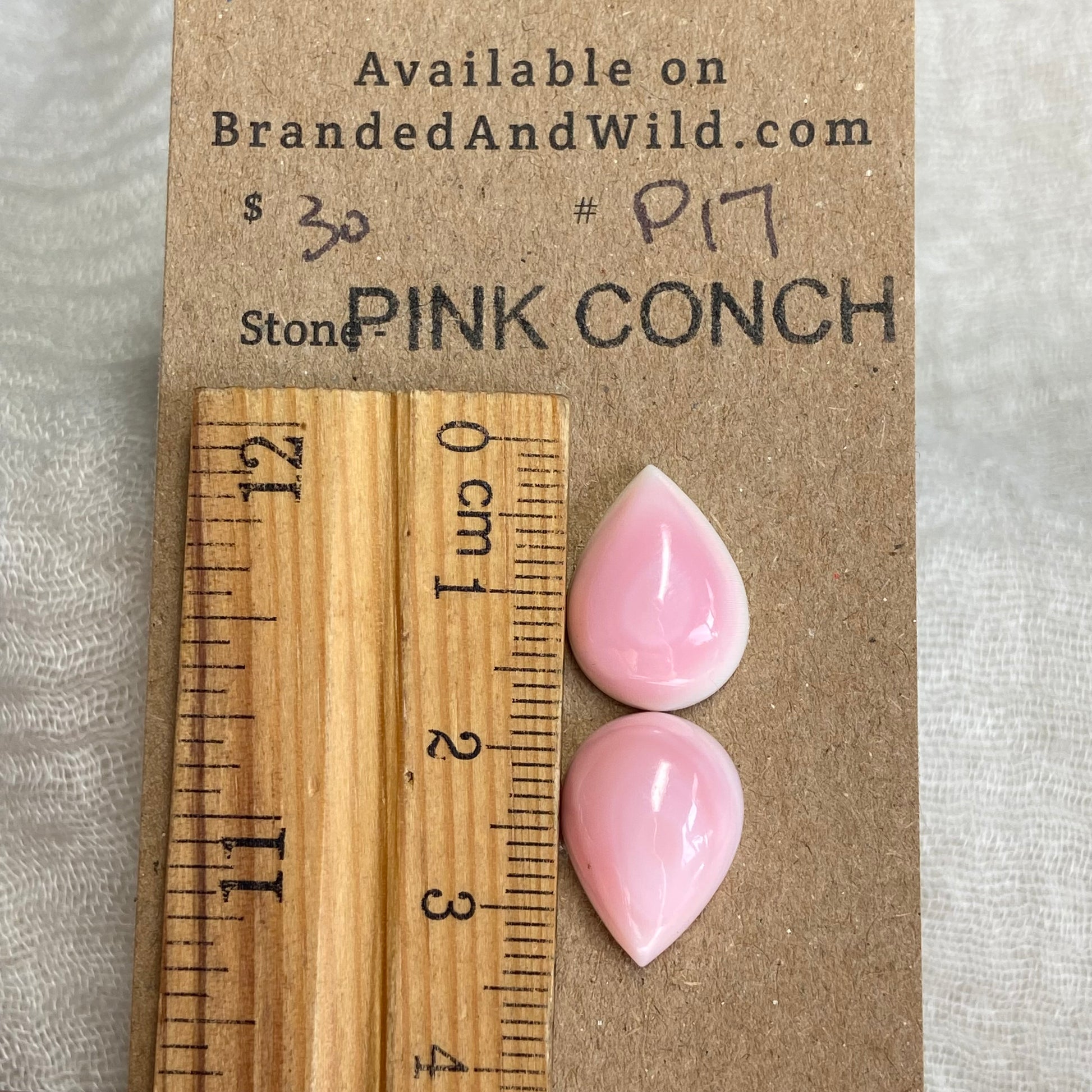 Pink Conch Cabochon - PC17 832FF050-DAAB-4474-8EDD-15BE4C095DA2 Brandedandwild.com