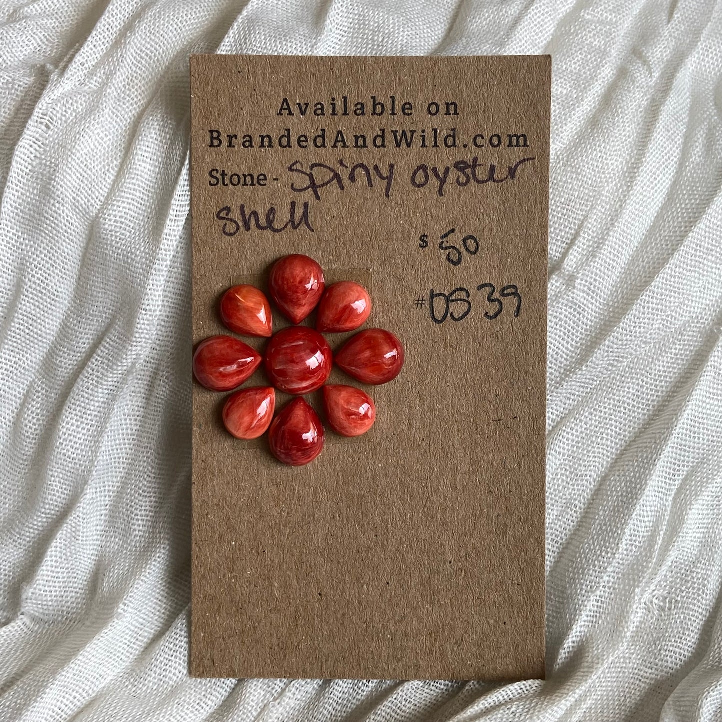 Oystershell Cabochon - OS39 8354771B-AE3B-4908-B6F3-FF1FC5E77F6E Brandedandwild.com