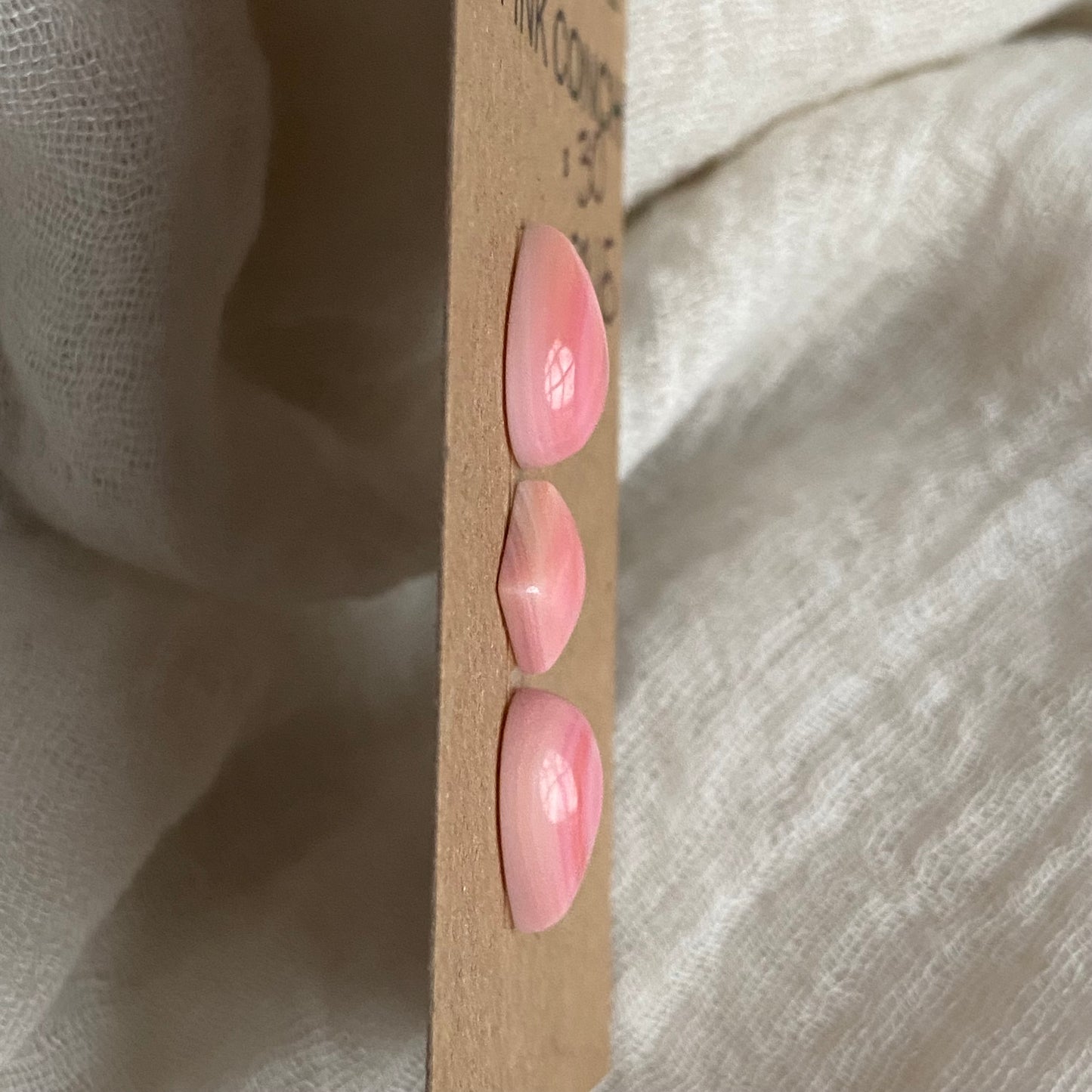 Pink Conch Cabochon - PC65