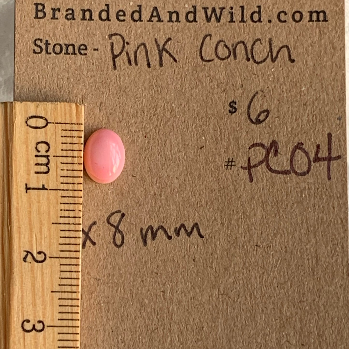 Pink Conch Cabochon - PC04