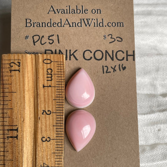 Pink Conch Cabochon - PC51 83B33A02-CCD1-49E9-A5C0-20E310421118 Brandedandwild.com