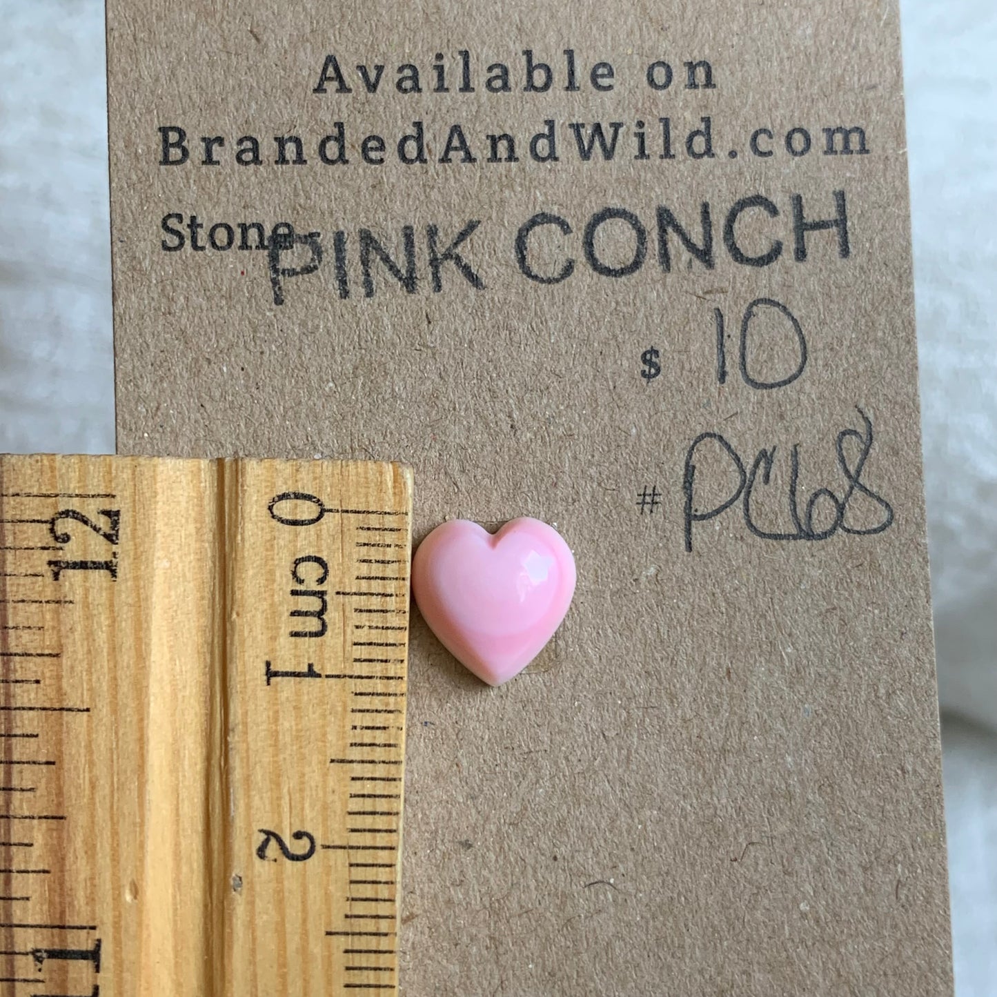 Pink Conch Cabochon - PC68