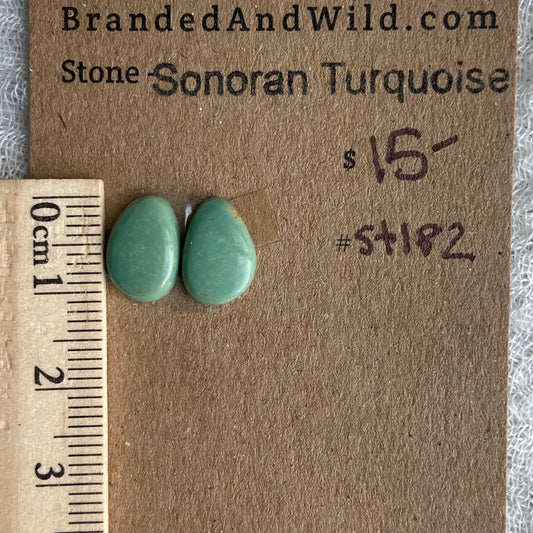 Sonoran Turquoise Cabochon - ST182