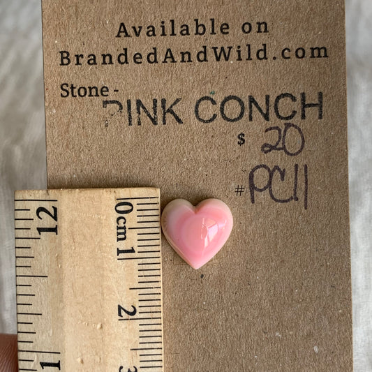 Pink Conch Cabochon - PC11