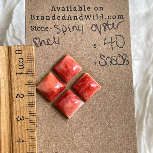Spiny Oyster Shell Cabochon - SOS08 84399662-8D77-441D-9BBF-418D43C42FDE Brandedandwild.com
