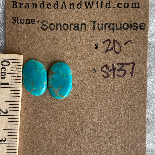 Sonoran Turquoise Cabochon - ST37