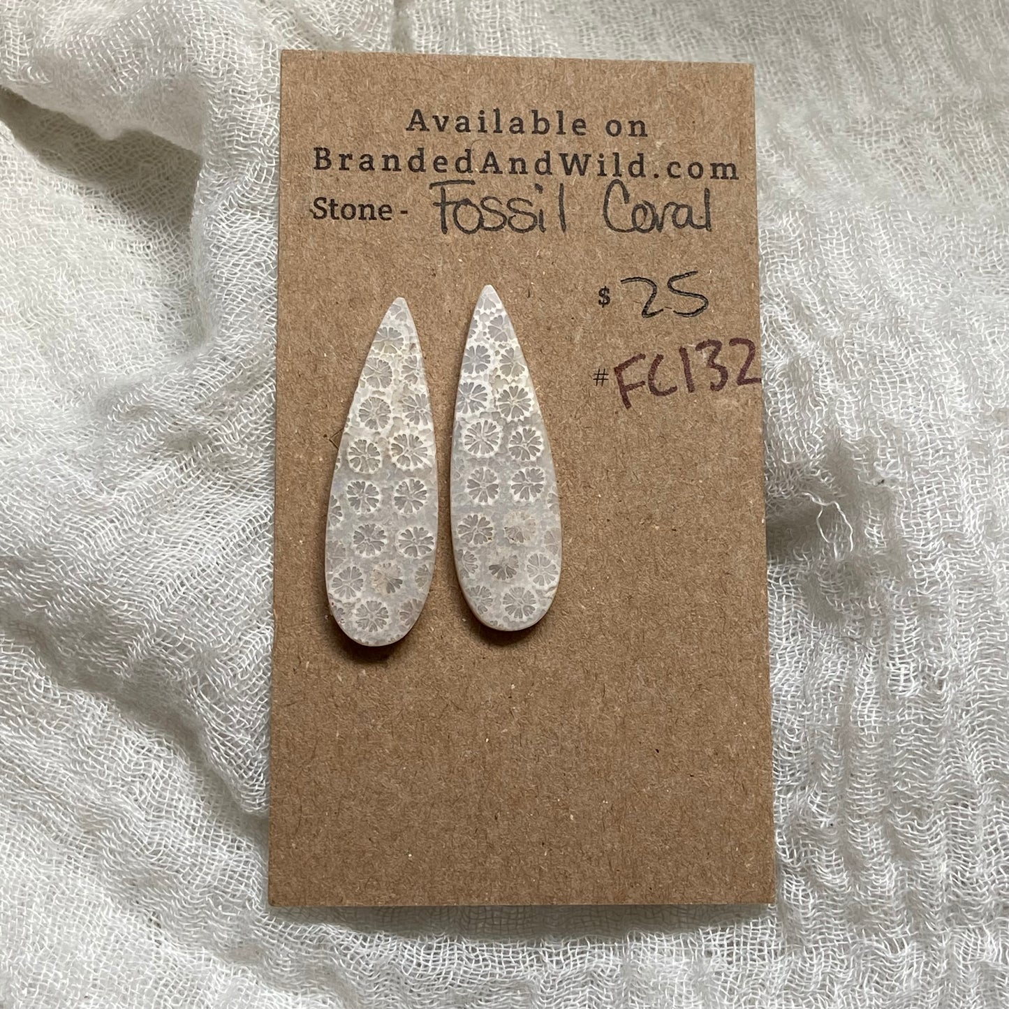 Fossil Coral Cabochon - FC132