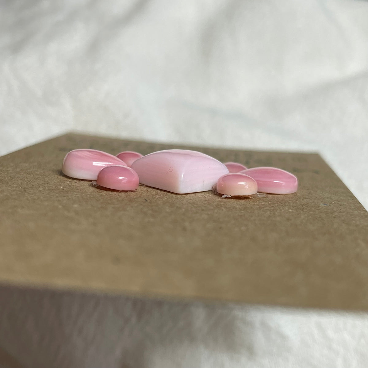 Pink Conch Cabochon - PC38 84BC49D0-7262-477E-B344-F1F54DE015D0 Brandedandwild.com