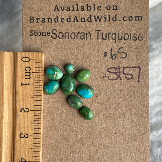 Sonoran Turquoise Cabochon - ST57