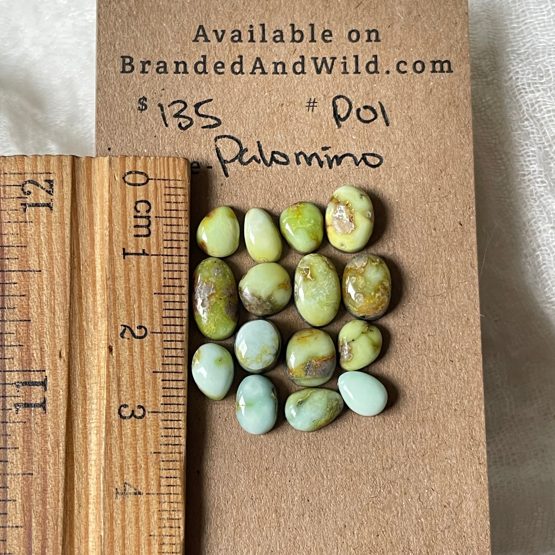 Palomino Cabochon - P01 84FB8D8B-B529-4460-B779-A6B2BCE50059 Brandedandwild.com