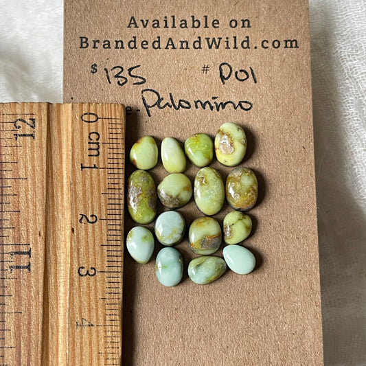 Palomino Cabochon - P01 84FB8D8B-B529-4460-B779-A6B2BCE50059 Brandedandwild.com