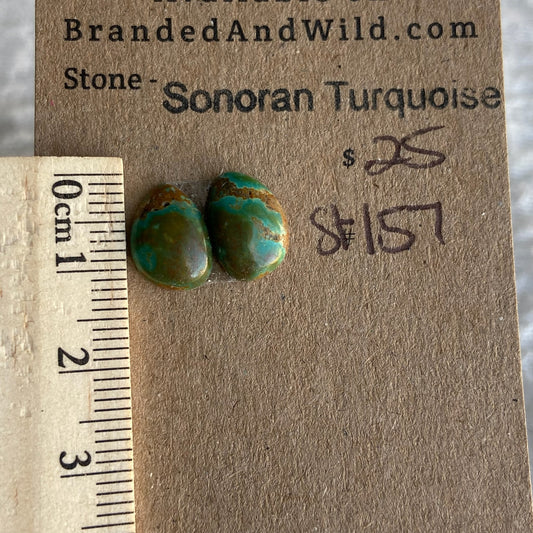 Sonoran Turquoise Cabochon - ST157