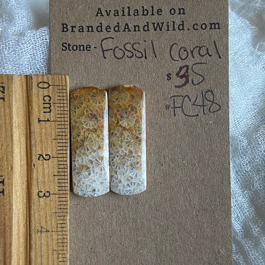 Fossil Coral Cabochon - FC48 854627A0-487A-4936-8315-FF6212706B21 Brandedandwild.com
