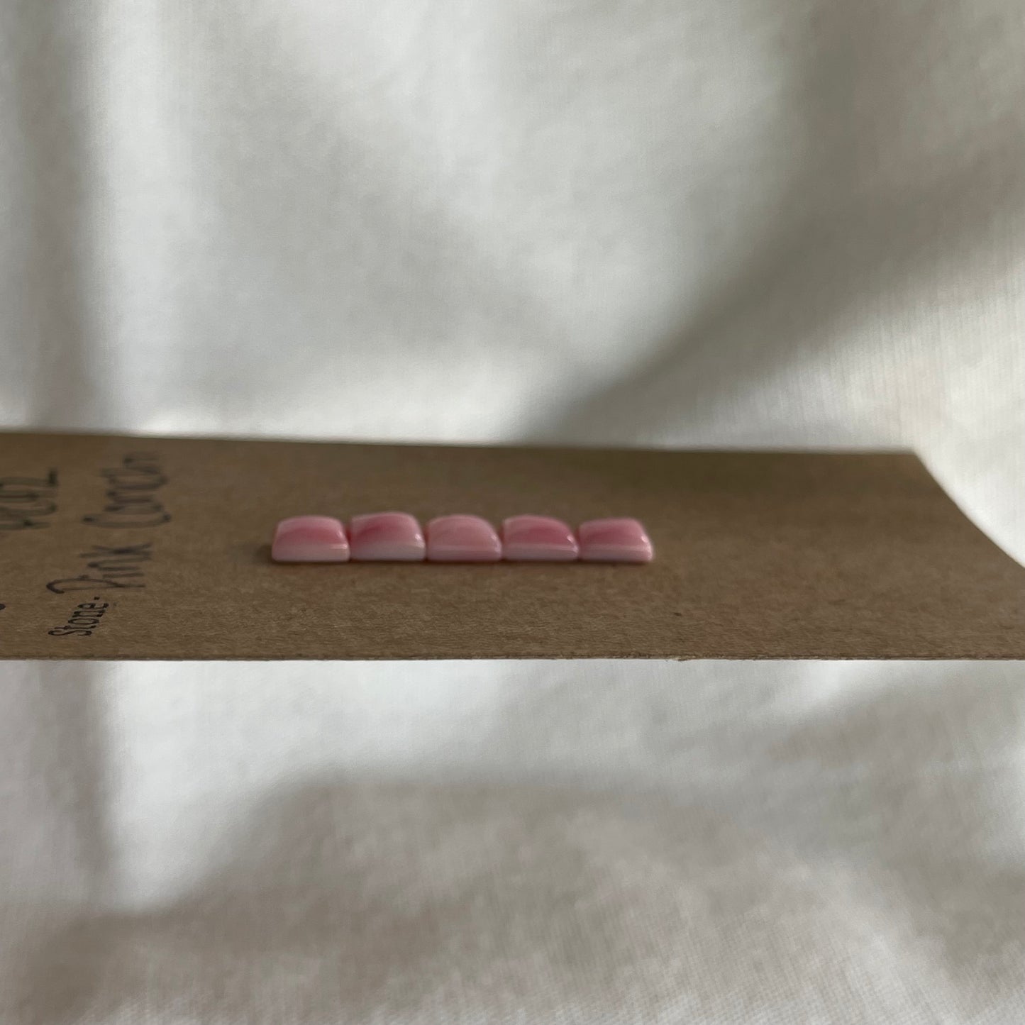 Pink Conch Cabochon - PC42