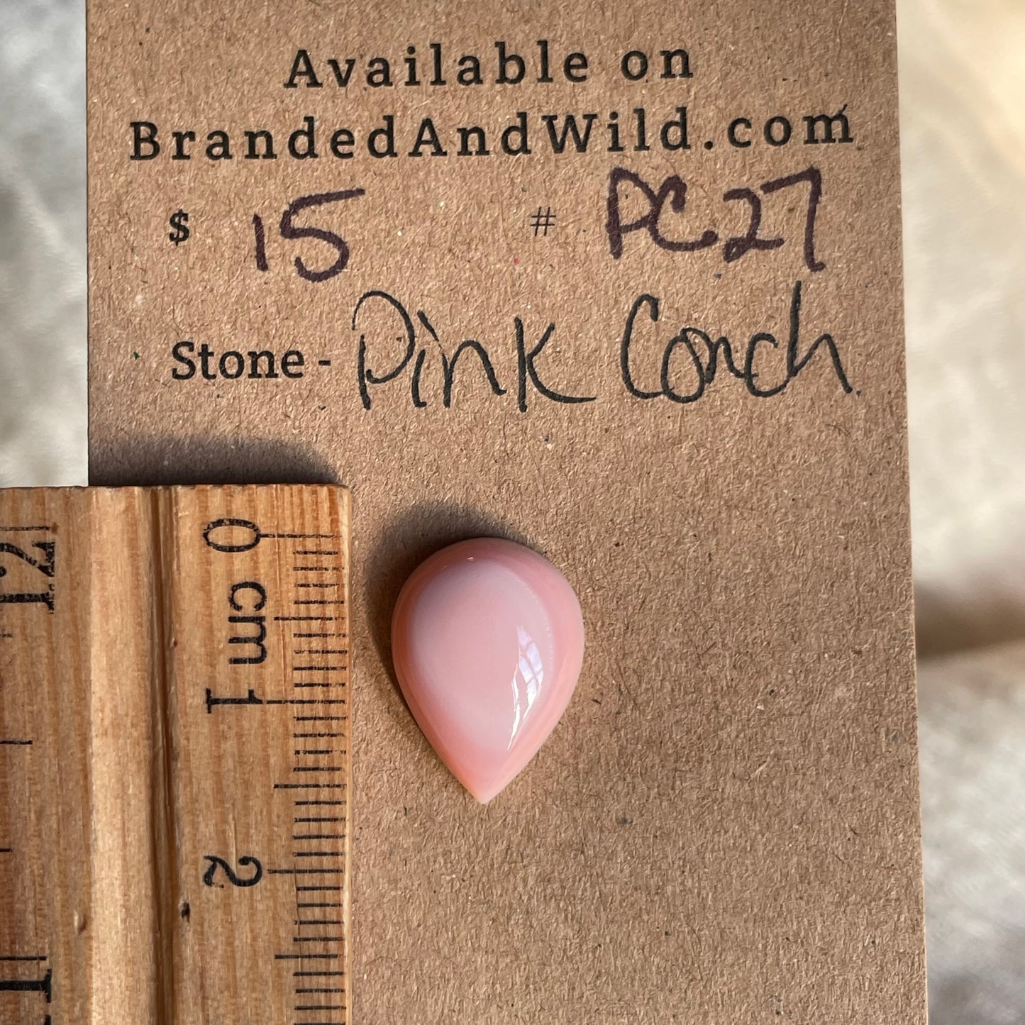 Pink Conch Cabochon - PC27 85941C64-9248-41B5-862D-6C955D2D96FD Brandedandwild.com
