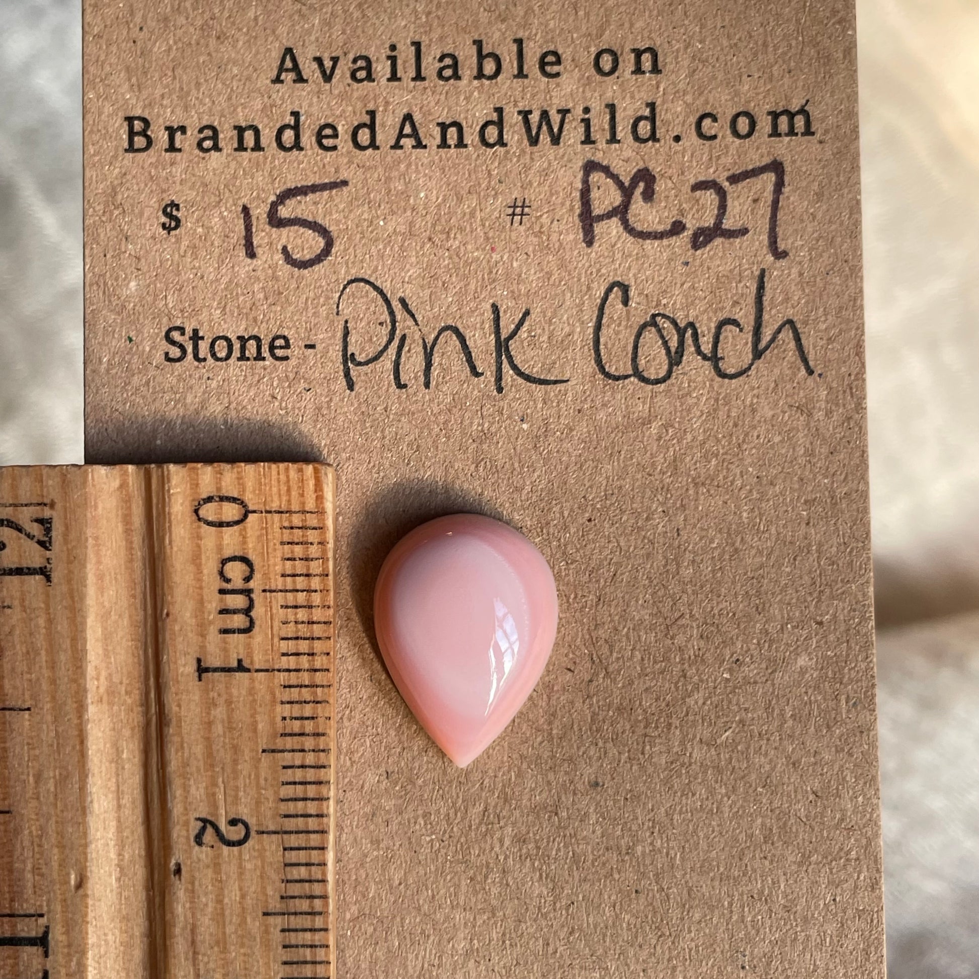Pink Conch Cabochon - PC27 85941C64-9248-41B5-862D-6C955D2D96FD Brandedandwild.com