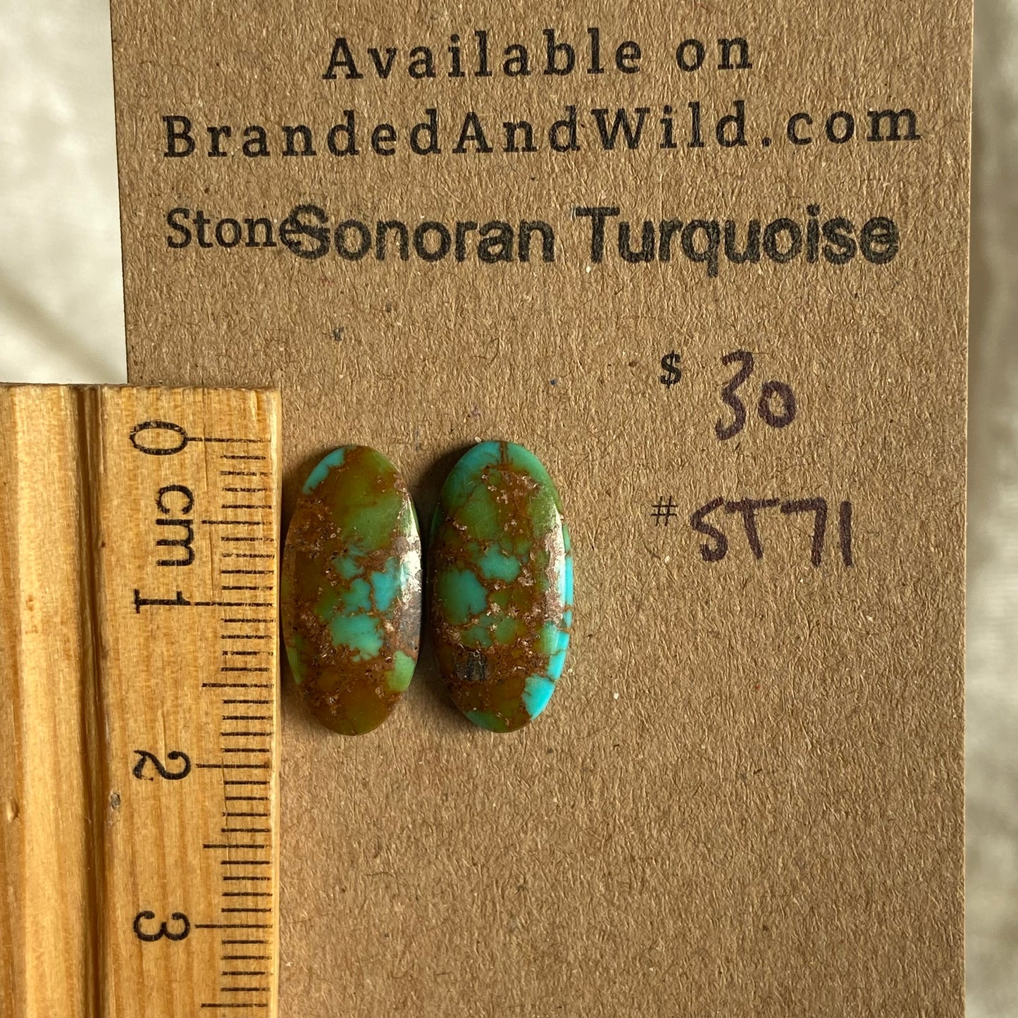 Sonoran Turquoise Cabochon - ST71