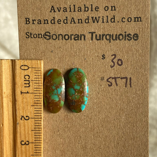Sonoran Turquoise Cabochon - ST71