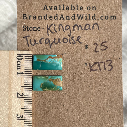 Kingman Turquoise Cabochon - KT13