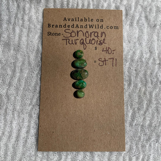 Sonoran Turquoise Cabochon - ST71