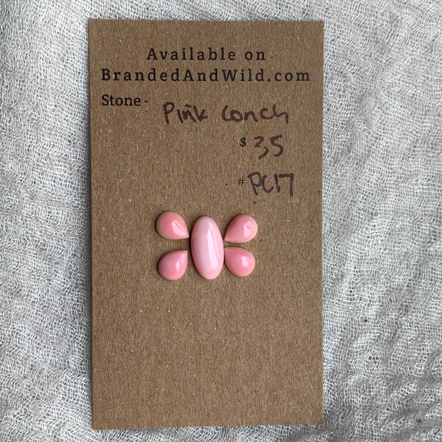 Pink Conch Cabochon - PC17