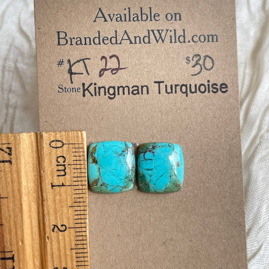 Kingman Turquoise Cabochon - KT22 863F4E13-664E-4618-B86B-42F5FFF72491 Brandedandwild.com