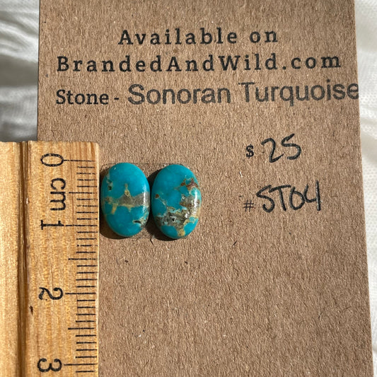 Sonoran Turquoise Cabochon - ST04 86427730-2013-4C6D-B175-E63E2E9585DA Brandedandwild.com