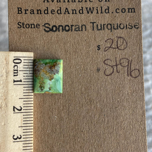 Sonoran Turquoise Cabochon - ST96