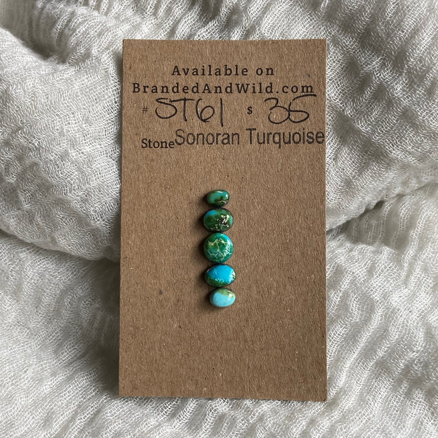 Sonoran Turquoise Cabochon - ST61