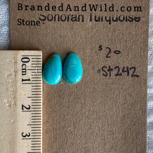 Sonoran Turquoise Cabochon - ST242