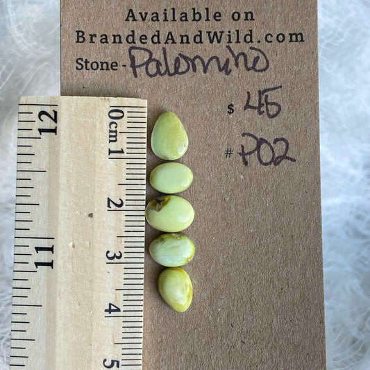 Palomino Cabochon - P02