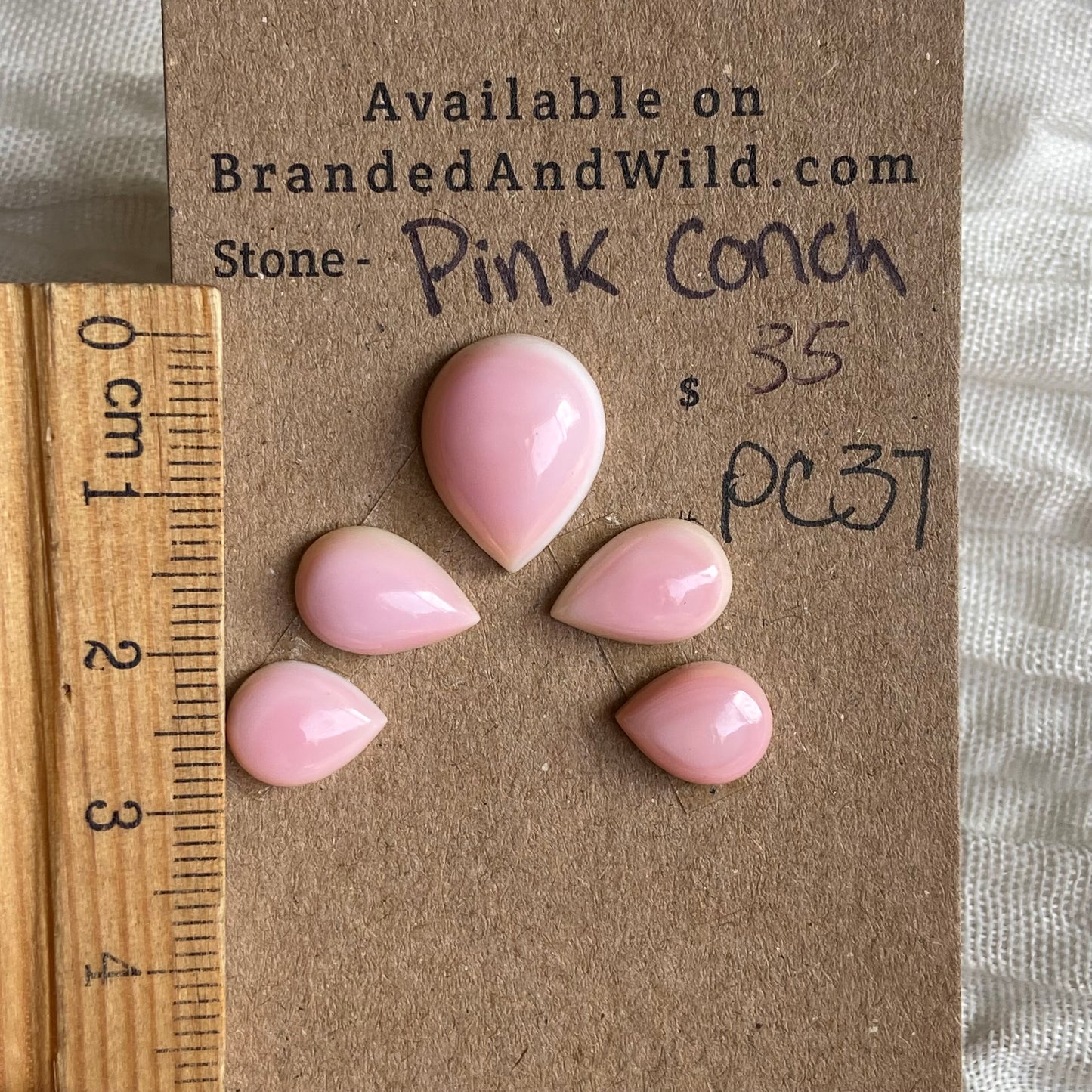 Pink Conch Cabochon - PC37 870C3DE7-81A1-42BB-842A-BA2B3B2F9AC1 Brandedandwild.com