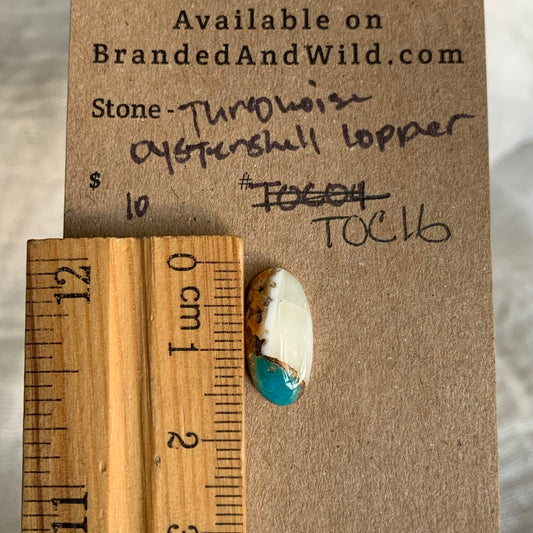 Turquoise, Oystershell, Copper Cabochon - TOC16