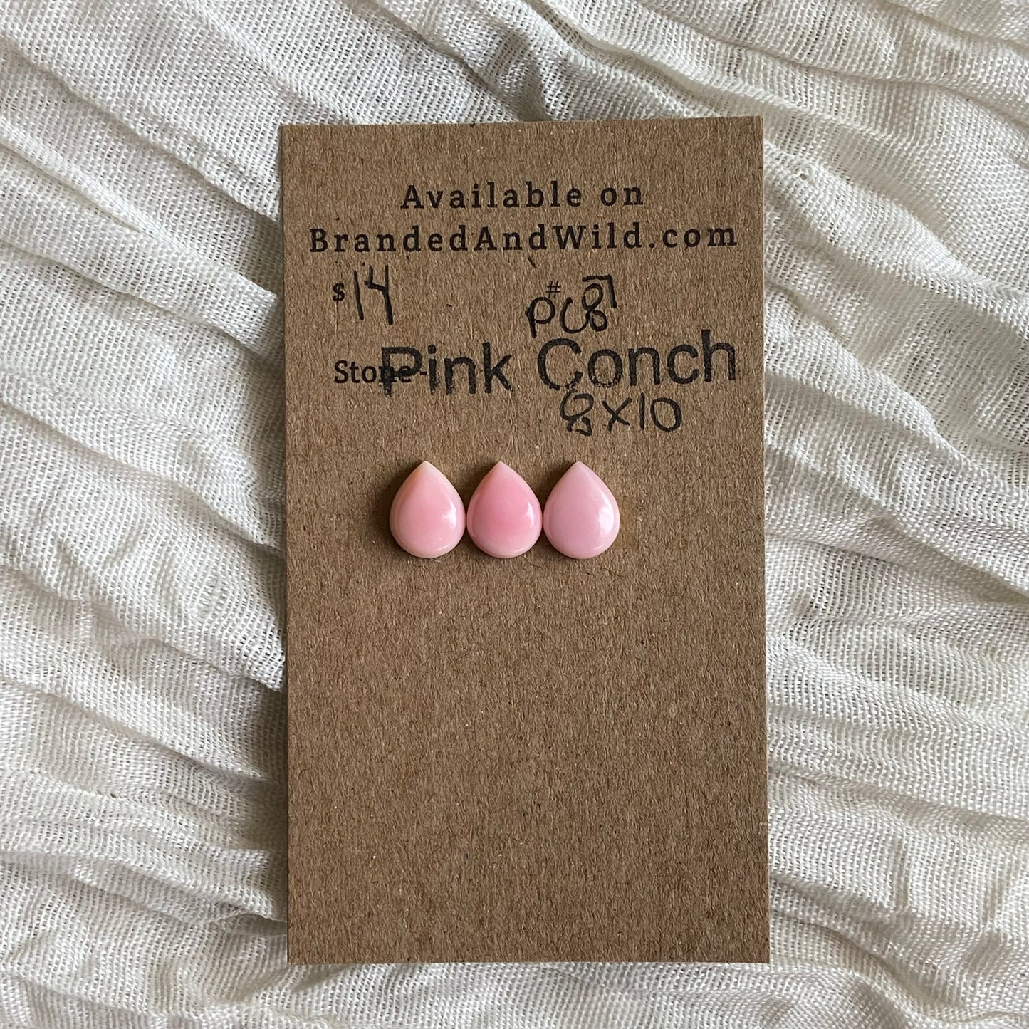 Pink Conch Cabochon - PC87